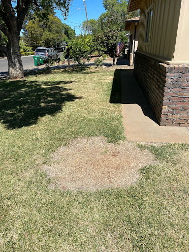 Climate & Energy Solutions image