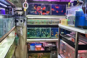 Aquarium Shop at Whampoa Wet Market image