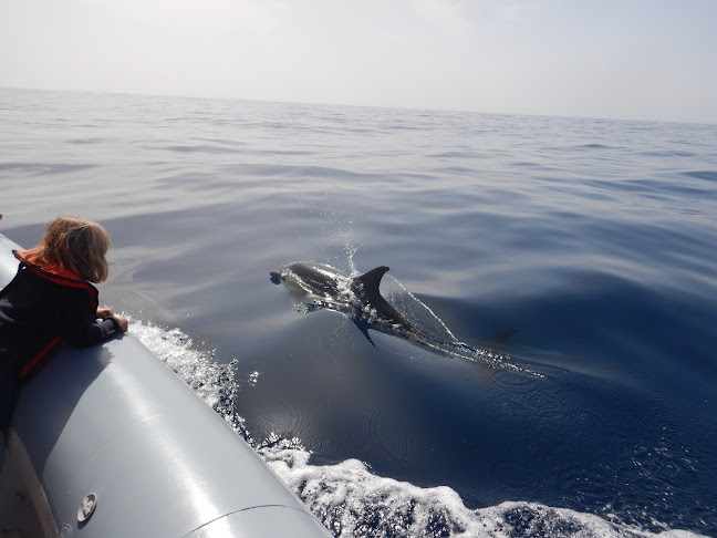 OceanSee Whale Watching - Funchal