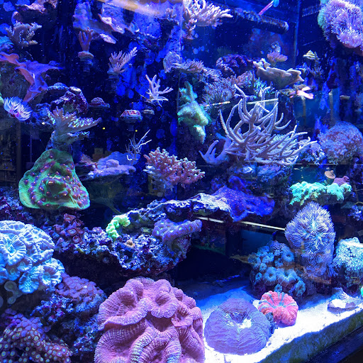 Pet Store «Fin-N-Feather», reviews and photos, 2931 F St, Eureka, CA 95501, USA