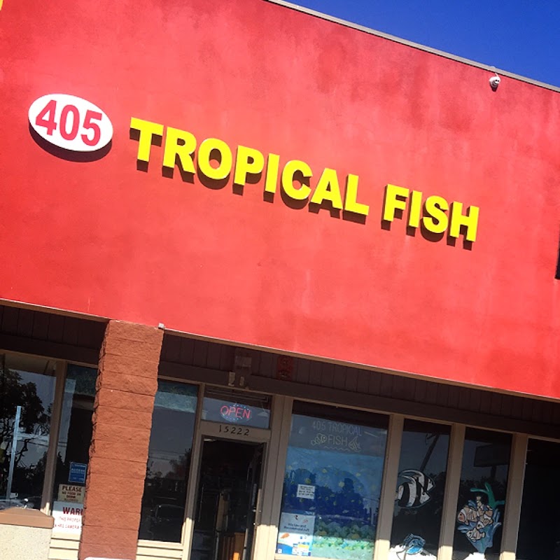 405 Tropical Fish