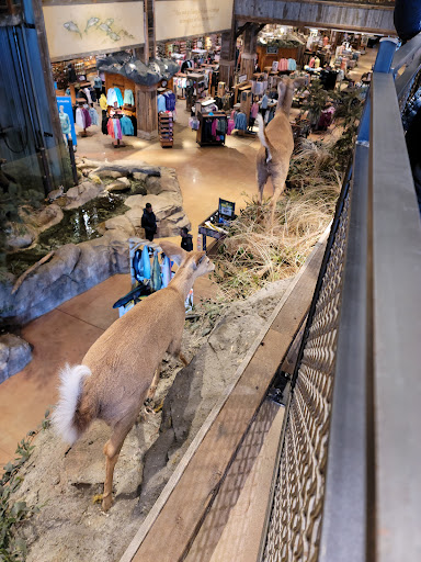 Sporting Goods Store «Bass Pro Shops», reviews and photos, 1 Bass Pro Dr, Bridgeport, CT 06608, USA