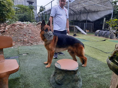 Trung tâm huấn luyện chó nghiệp vụ Ninh bình