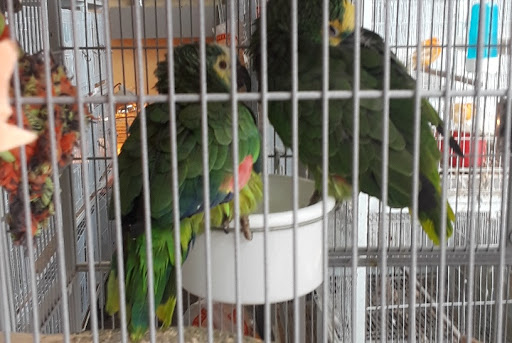 Pet Supply Store «El Granero Feed & Pet Supplies», reviews and photos, 2228 Church Ln, San Pablo, CA 94806, USA