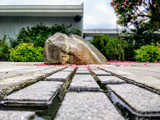 Park «Wilburton Hill Park», reviews and photos, 12400 Main St, Bellevue, WA 98005, USA