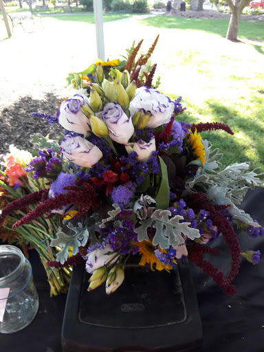 Tourist Attraction «Woodstock Square Historic District», reviews and photos, 205 W Todd Ave, Woodstock, IL 60098, USA