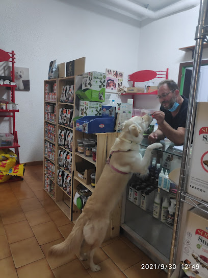 Shira Mascotas - Servicios para mascota en Zaragoza