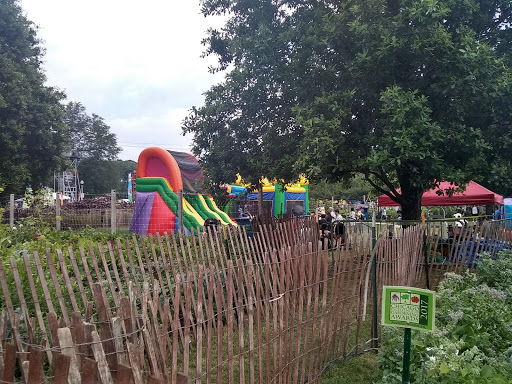 Fountain «Buckingham Fountain», reviews and photos, 301 S Columbus Dr, Chicago, IL 60605, USA