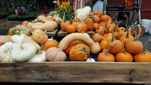 Produce Market «Highland Orchards Farm Market», reviews and photos, 1431 Foulk Rd, Wilmington, DE 19803, USA