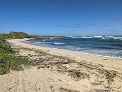 Kahuku Beach'in fotoğrafı biraz temiz temizlik seviyesi ile