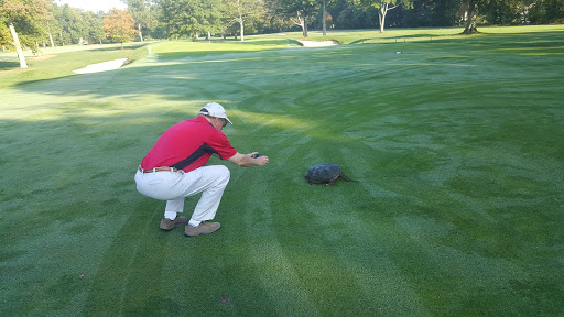 Golf Course «Quaker Ridge Golf Club», reviews and photos, 146 Griffen Ave, Scarsdale, NY 10583, USA