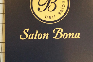 Salon Bona image