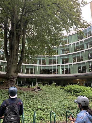 Tourist Attraction «Portland by Segway Tours», reviews and photos, 150 SW Harrison St, Portland, OR 97201, USA