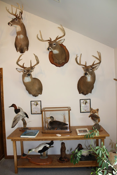 Realistic Creations Taxidermy