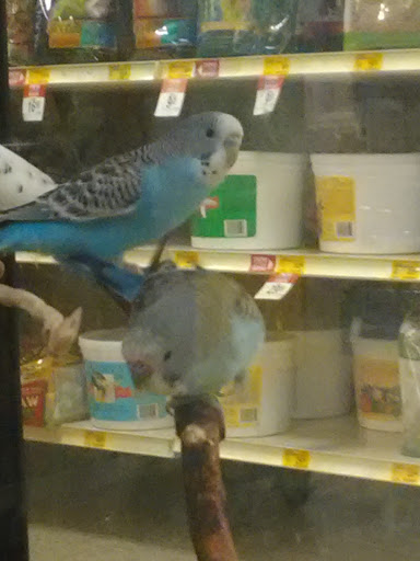 Pet Supply Store «PetSmart», reviews and photos, 2718 Legends Pkwy, Prattville, AL 36066, USA