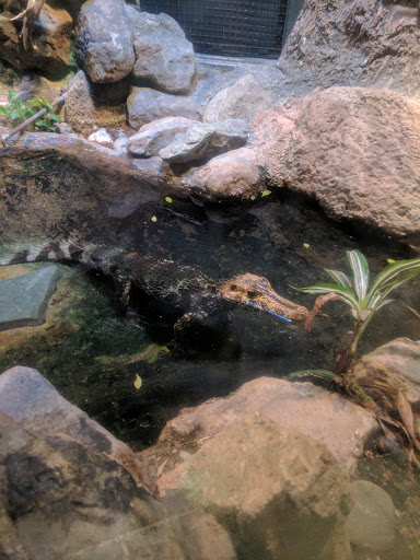 Zoo «Sacramento Zoo», reviews and photos, 3930 W Land Park Dr, Sacramento, CA 95822, USA