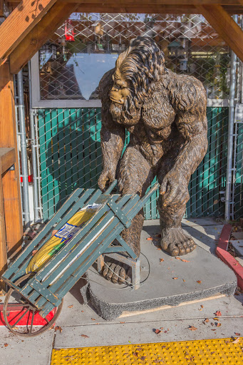 Hardware Store «Sebastopol Hardware Ctr», reviews and photos, 660 Gravenstein Hwy N, Sebastopol, CA 95472, USA