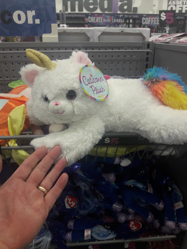 Variety Store «Five Below», reviews and photos, 1630 Scenic Hwy S, Snellville, GA 30078, USA