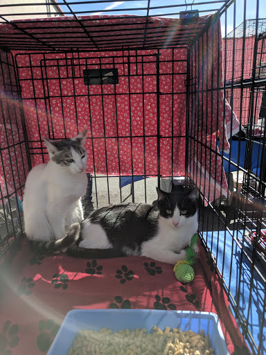 Pet Store «Pet Pals Discount Pet Foods & Supplies», reviews and photos, 3660 Soquel Dr, Soquel, CA 95073, USA