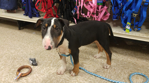 Pet Supply Store «PetSmart», reviews and photos, 150 Glynn Isle, Brunswick, GA 31525, USA