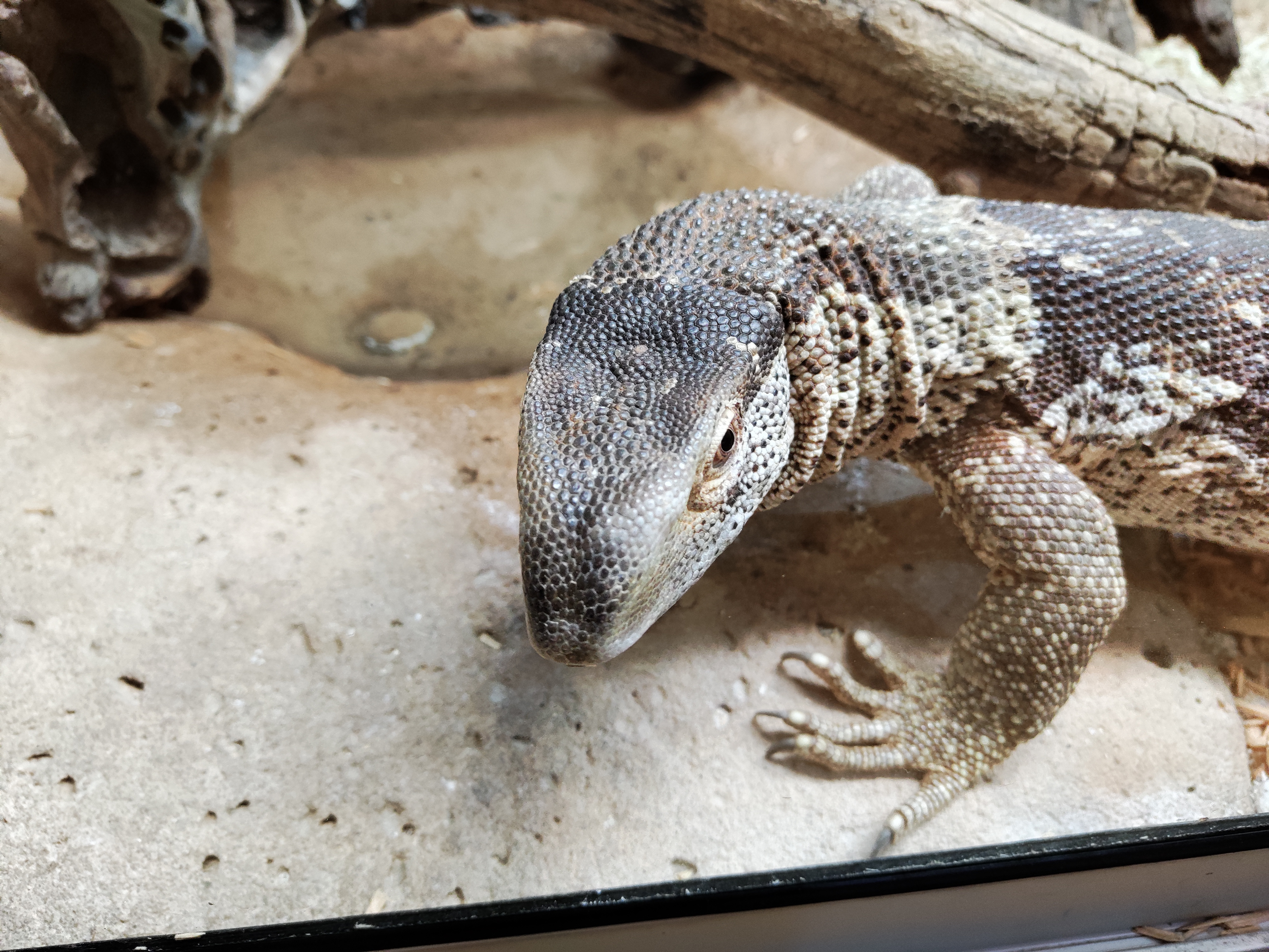 Photo n° 2 de l'avis de Sébastien.o fait le 03/09/2022 à 19:11