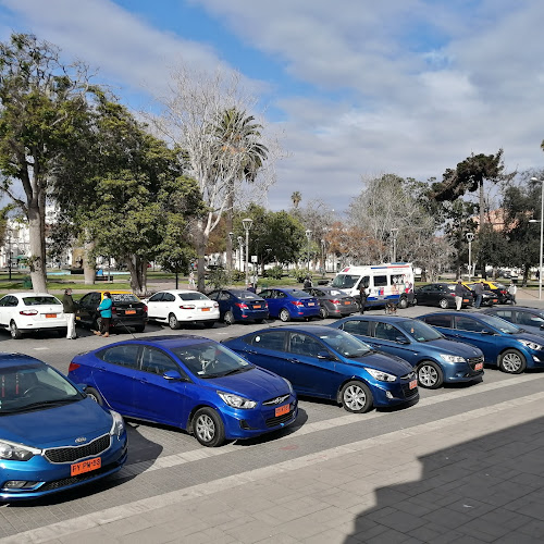 Taxis Ejecutivos Azules del Elqui - Servicio de taxis