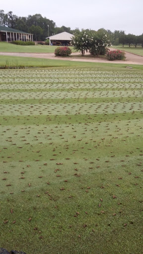 Golf Course «Quail Walk Club», reviews and photos, 2110 Holtville Rd, Wetumpka, AL 36092, USA