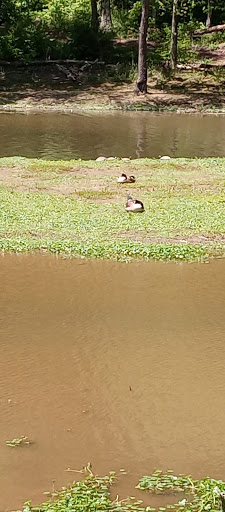 Park «Louise F Cosca Regional Park», reviews and photos, 11000 Thrift Rd, Clinton, MD 20735, USA