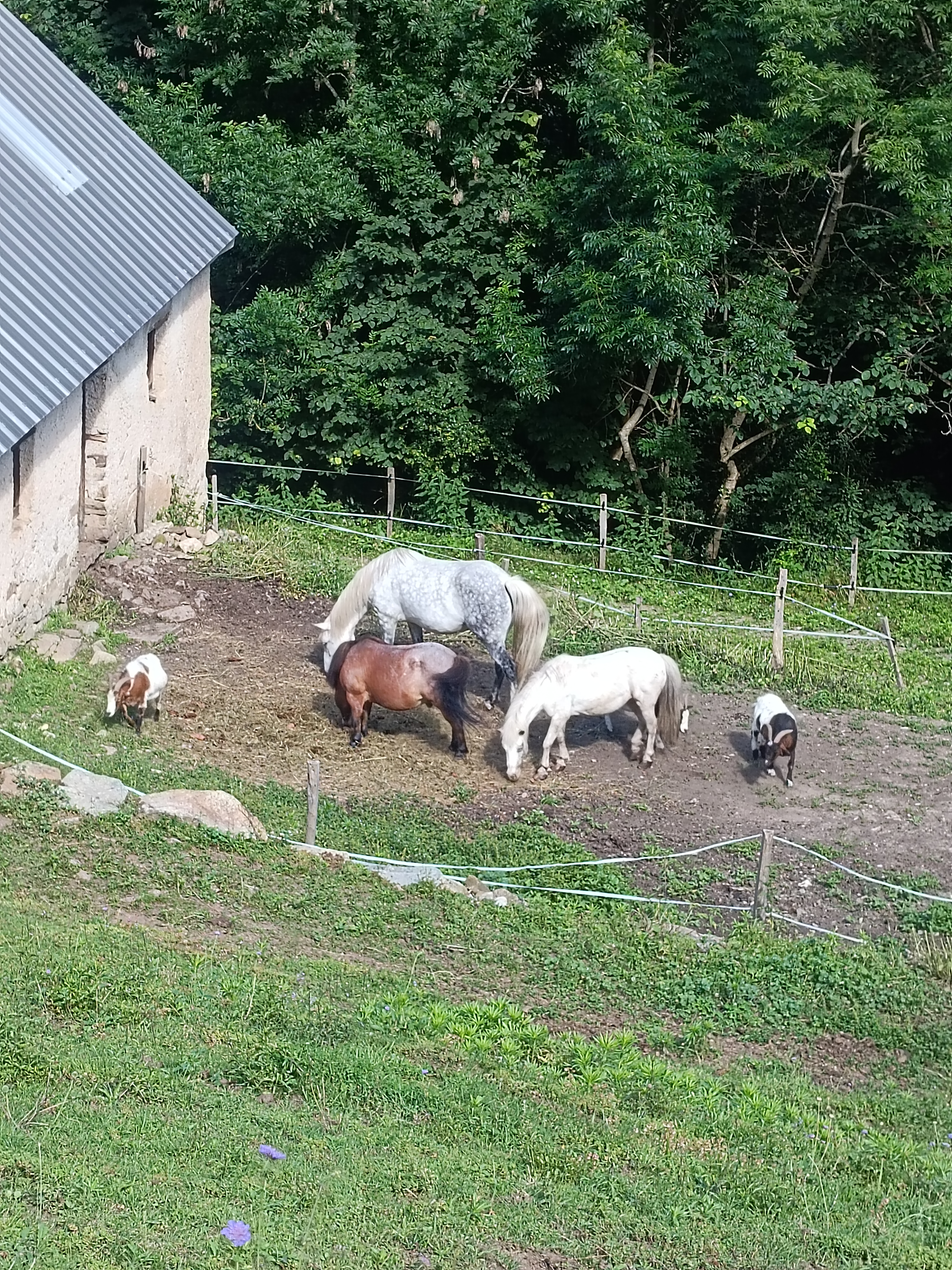 Photo n° 5 de l'avis de Bergé.a fait le 18/08/2023 à 09:42