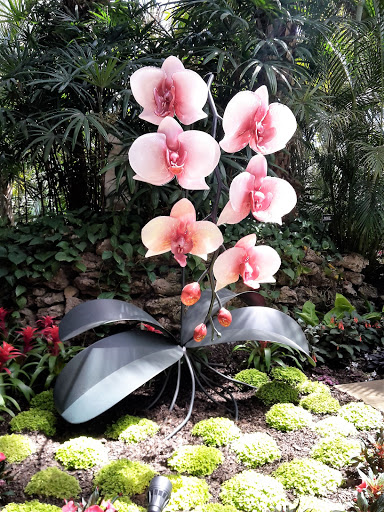 Botanical Garden «Phipps Conservatory and Botanical Gardens», reviews and photos, 1 Schenley Drive, Pittsburgh, PA 15213, USA