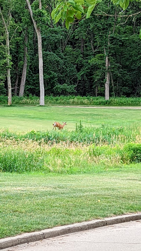 Golf Course «Tournament Club of Iowa», reviews and photos, 1000 Tradition Dr, Polk City, IA 50226, USA
