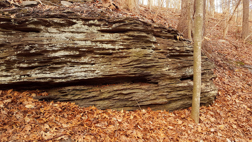 Nature Preserve «Wolf Rock Nature Preserve», reviews and photos, 251 Clover Mill Rd, Storrs, CT 06268, USA