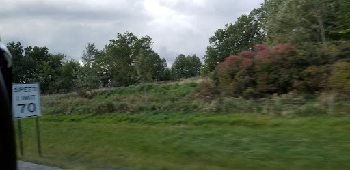 Florist «J.P. Diederich Sons Inc.», reviews and photos, 38599 Center Ridge Rd, North Ridgeville, OH 44039, USA