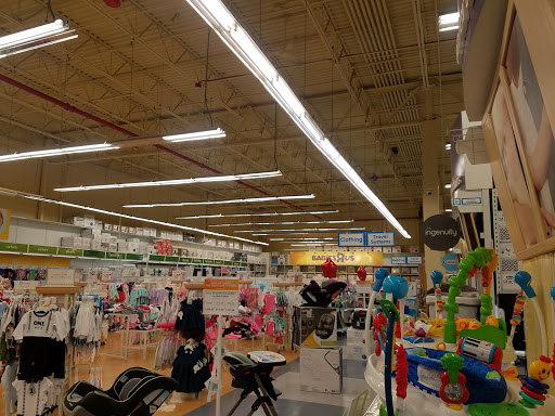 Toy Store «Toys