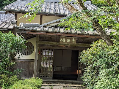 峰定寺の髙野槇