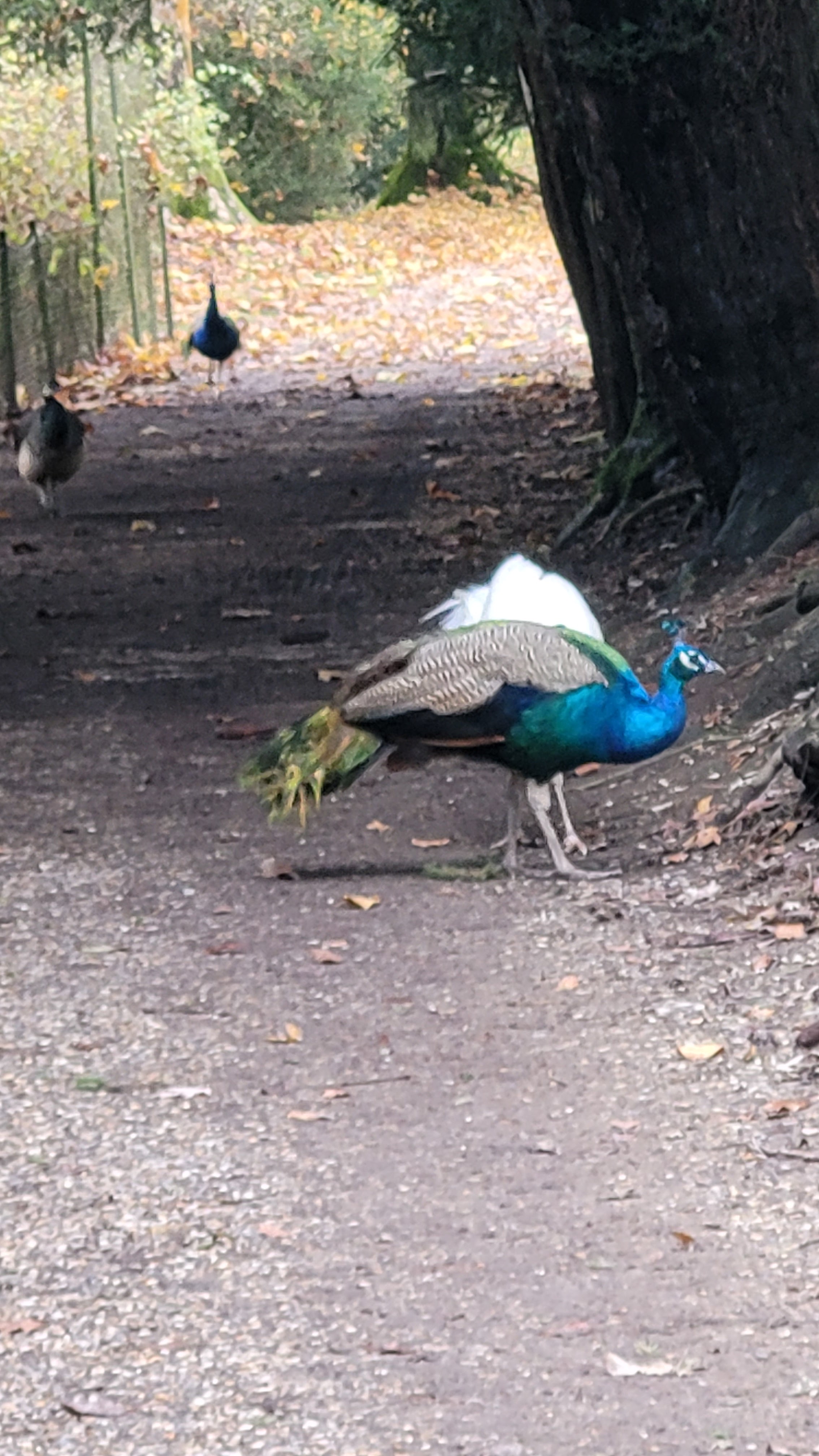 Photo n° 12 de l'avis de Sophie.a fait le 22/11/2023 à 15:36
