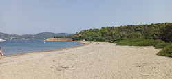 Photo de Beach Tsougrias avec un rivage spacieux