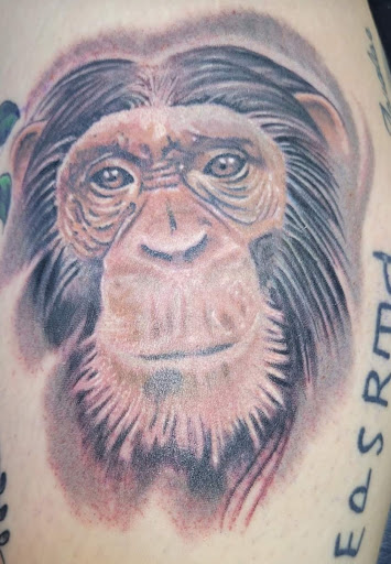 Explore cat paw tattoo ideas, creative tattoo ideas in Angola, available at Hoodlum Ink