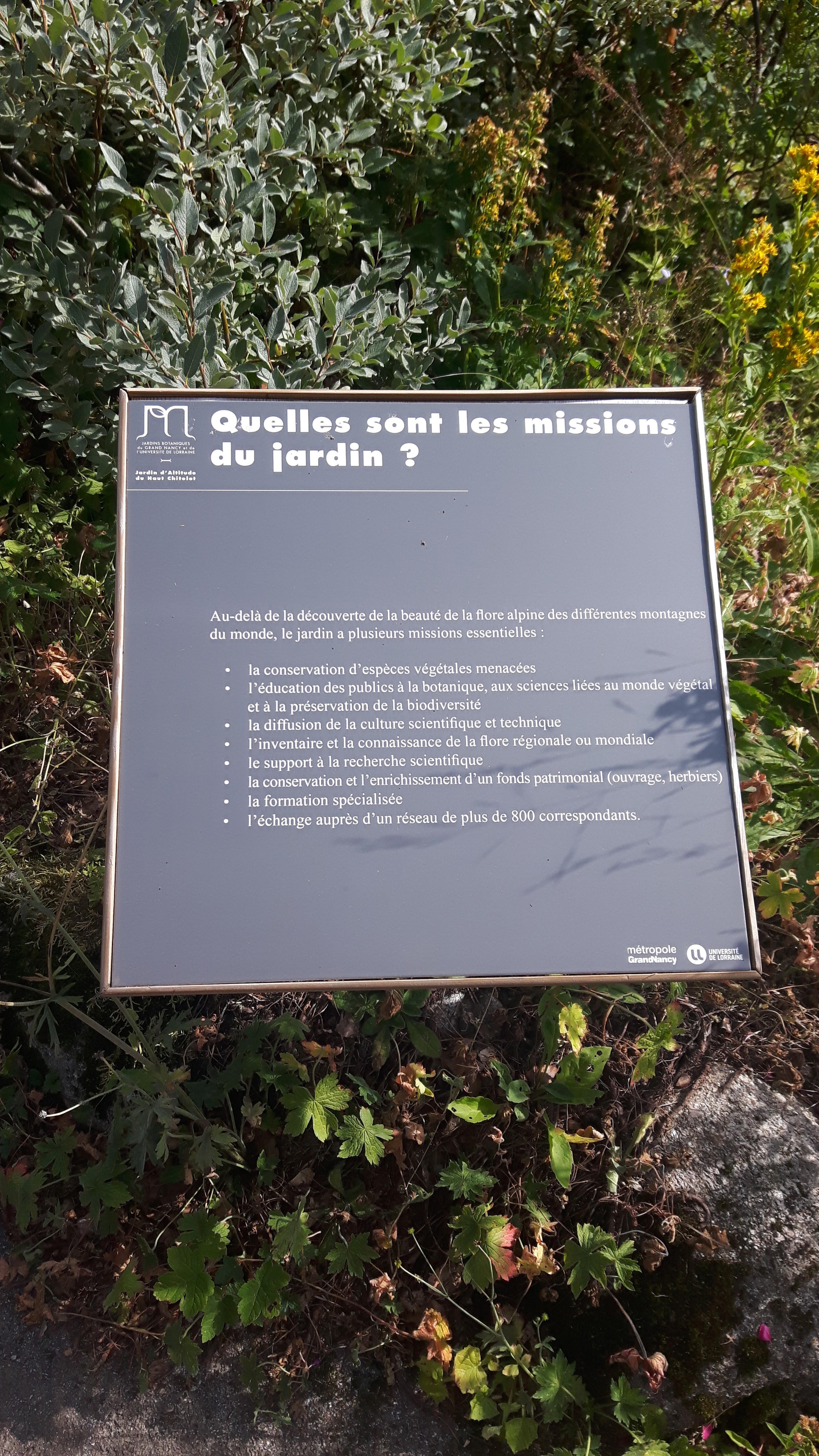 Photo n° 2 de l'avis de Eglentine.b fait le 08/08/2018 à 15:17