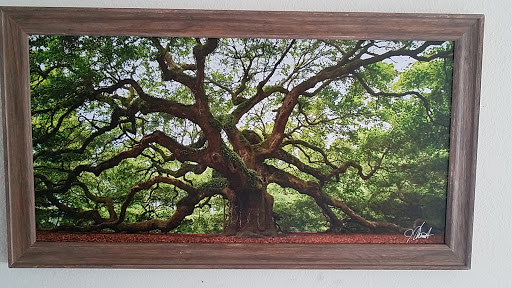 Picture Frame Shop «The Downtown Art Gallery», reviews and photos, 335 S Washington Ave, Titusville, FL 32796, USA