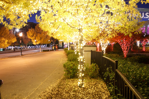 Aquarium «Georgia Aquarium», reviews and photos, 225 Baker St NW, Atlanta, GA 30313, USA