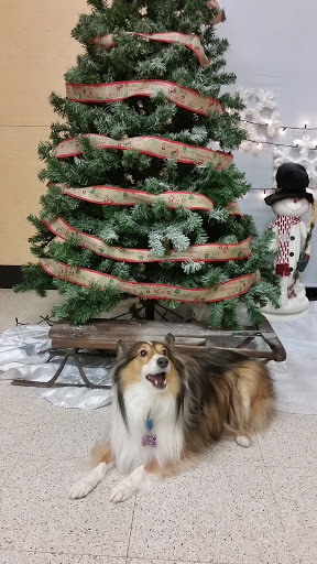 Pet Supply Store «PetSmart», reviews and photos, 14 Crossing Way #2, Augusta, ME 04330, USA