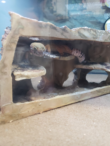 Pet Supply Store «Petco Animal Supplies», reviews and photos, 200 McMahan Blvd, Marion, OH 43302, USA