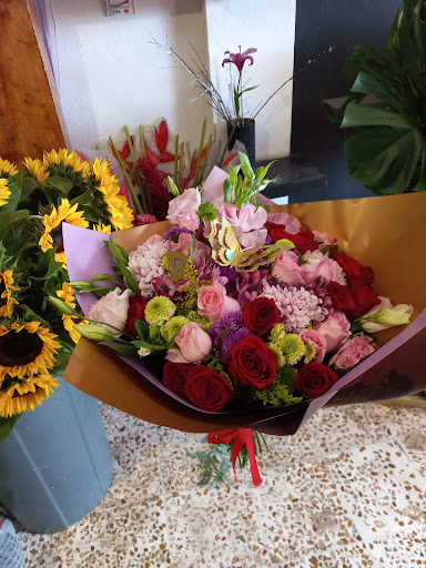 Floristería magnolia – Tulancingo