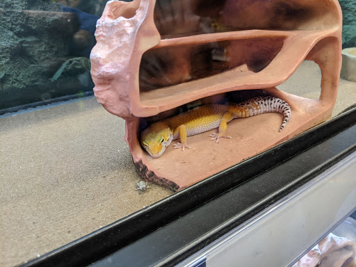 Pet Supply Store «Petco Animal Supplies», reviews and photos, 26 Coliseum Crossing, Hampton, VA 23666, USA