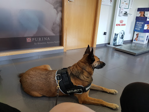 Centro Veterinario A Marosa Verxeles en Viveiro