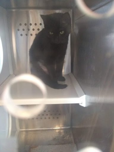 Pet Supply Store «Petsense Cleburne», reviews and photos, 1301 W Henderson St, Cleburne, TX 76033, USA