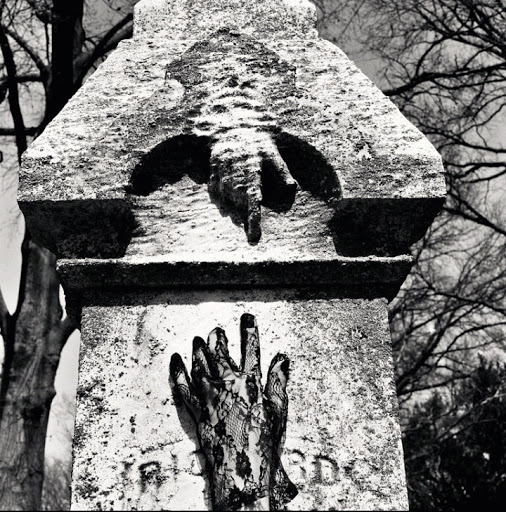 Art Museum «The Florida Museum of Photographic Arts», reviews and photos, 400 N Ashley Dr, Tampa, FL 33602, USA