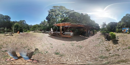 High School «San Domenico School», reviews and photos