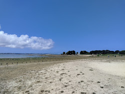 Plage La Grande Greve'in fotoğrafı imkanlar alanı